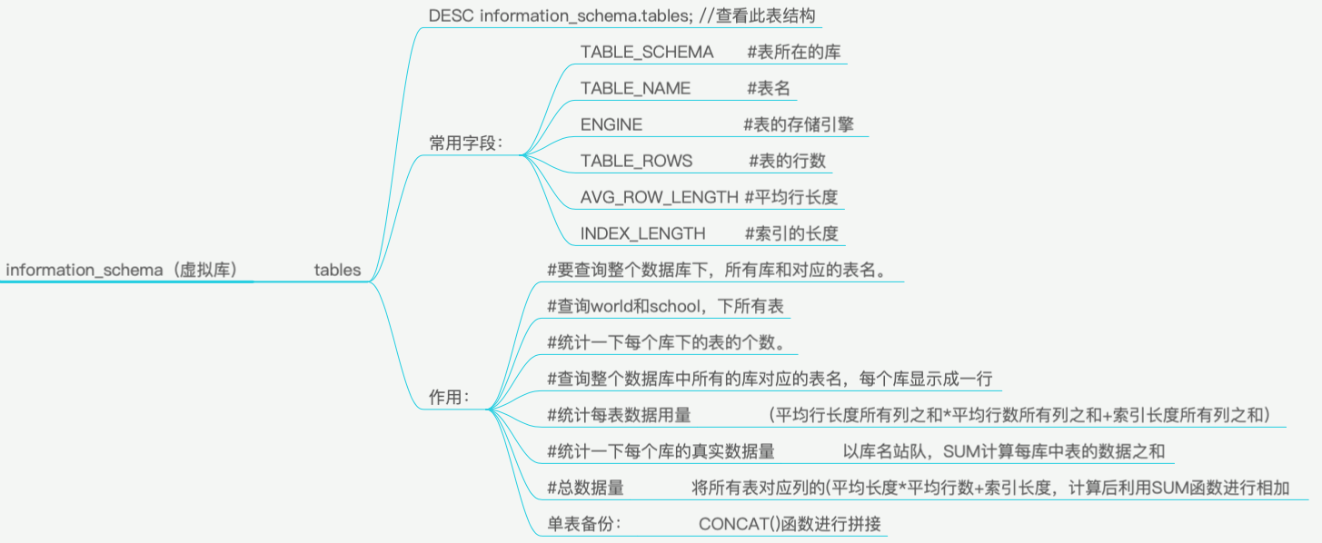 information_schema